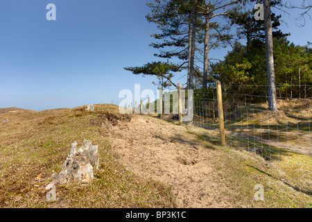 Sefton Coast Stock Photo