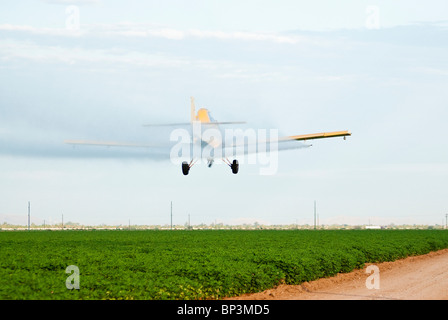 A crop dusting aircraft applies pesticides to a maturing cotton field. Stock Photo