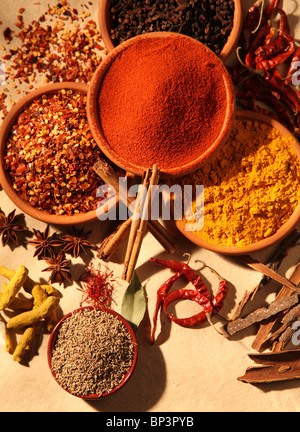 DRIED SPICES Stock Photo