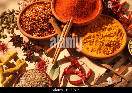 DRIED ASIAN SPICES Stock Photo