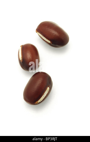 Three red beans on white background Stock Photo