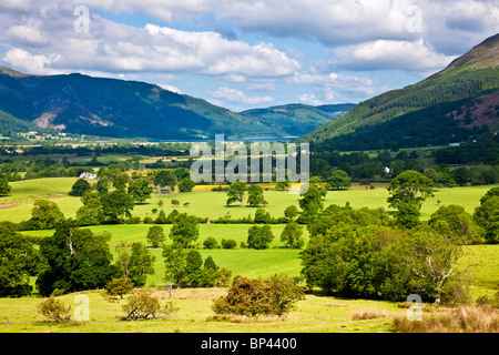 View toward Bassenthwaite from the path up to Latrigg near Keswick, Lake District, Cumbria, England, UK Stock Photo
