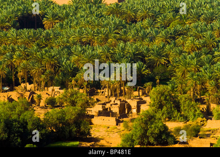 Saudi Arabia, Al-Ula date palm trees in the oasis and old houses Stock Photo