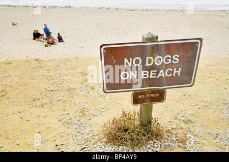 No Dogs on Beach, No Fires - California, USA Stock Photo