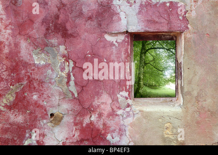 aged weathered pink grunge wall wood window view beech forest Stock Photo