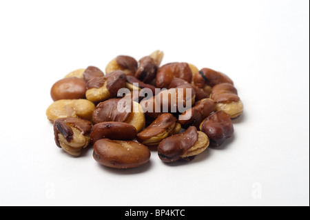 Roasted Broad Bean (Vicia faba) On white Background Stock Photo