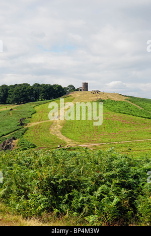 Bradgate park Leicester england UK Stock Photo