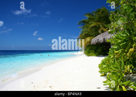 A tropical beach at Vilamendhoo, Maldives Stock Photo