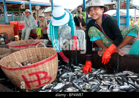 Women sorting fish in the floating village near Kompong Chnang in Cambodia Stock Photo