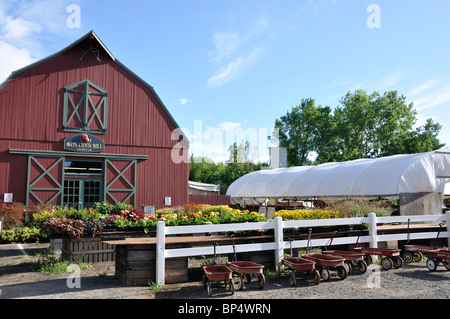 Apple Cider Mill and country store, Avon, Connecticut, New England, USA Stock Photo