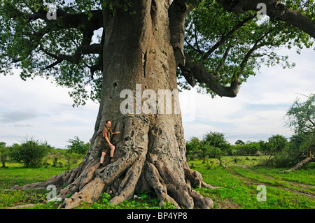 Man stands on the roots of a baobab tree (Adansonia digitata), Planet baobab, Makgadikgadi Pan, Botswana, Africa Stock Photo