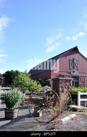 Apple Cider Mill and country store, Avon, Connecticut, New England, USA Stock Photo