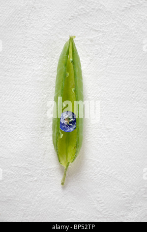 Planet earth inside pea pod Stock Photo