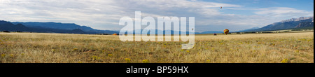Panorama view of hot air balloons at the annual Balloona Vista Festival, Buena Vista, Colorado, USA Stock Photo