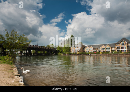 Modern Apartments on the banks of the River Thames at Walton Bridge, Walton on Thames, Surrey, Uk Stock Photo