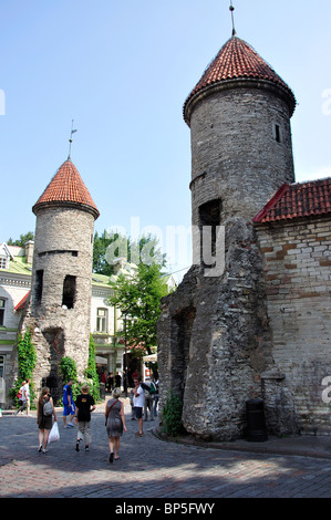 Viru Gate, Old Town, Tallinn, Harju County, Republic of Estonia Stock Photo