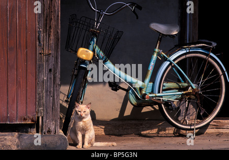 Village scene, Japan Stock Photo