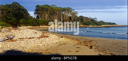 Beach, Tasmania, Australia, horizontal, Stock Photo