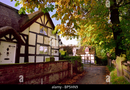 England, Cheshire, Stockport, Bramhall, Benja Fold in autumn Stock Photo