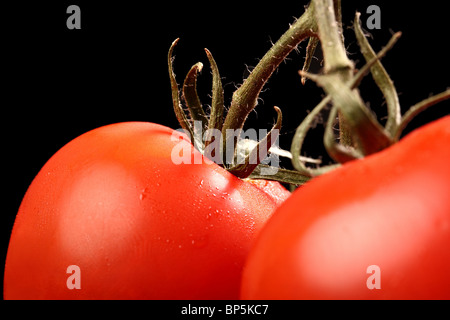 Detailed shot of fresh ripe tomatoes hanging from above isolated on black Stock Photo