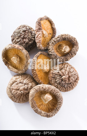 Chinese, MUSHROOMS,  dried shiitake mushrooms Stock Photo