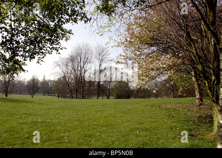 England, Cheshire, Stockport, Hazel Grove, Torkington Park, trees at springtime