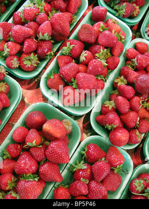 A collection of trays with fresh farmer's market red strawberries Stock Photo