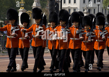 Miltary Bands Stock Photo