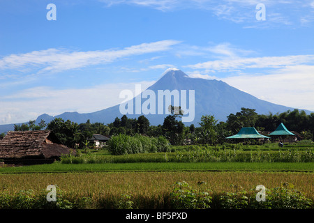 Indonesia, Java, Gunung Merapi volcano; agricultural fields; Stock Photo
