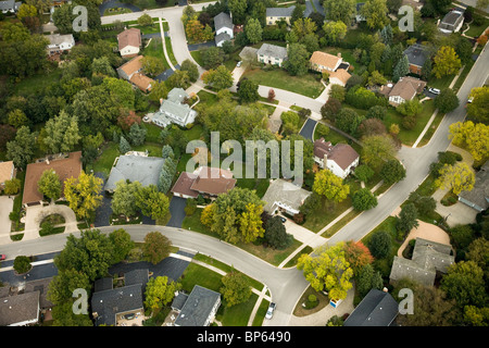 Aerial abstract landscape of leafy tree suburbs Stock Photo