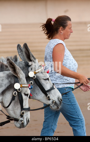 Donkey ride on Blackpool beach Stock Photo