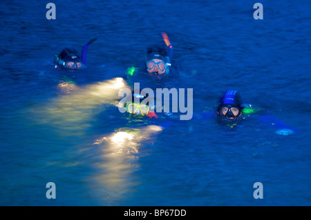 Scuba divers surfacing from a night dive in Wast Water,Cumbria,England Stock Photo