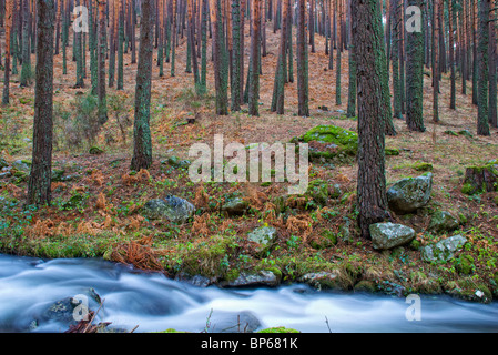 Waterfall. Navafria. Sierra de Guadarrama National Park. Segovia province. Castilla y Leon. Spain. Stock Photo