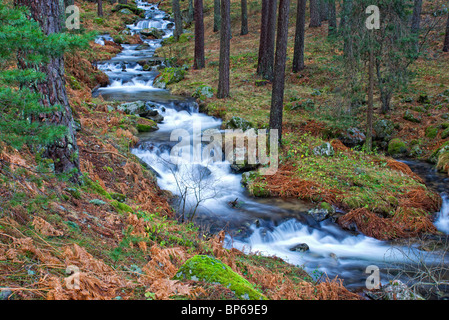 Waterfall. Navafria. Sierra de Guadarrama National Park. Segovia province. Castilla y Leon. Spain. Stock Photo