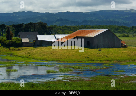 Rural farm and flooded pasture in Spring, near Loleta, Humboldt County, California Stock Photo