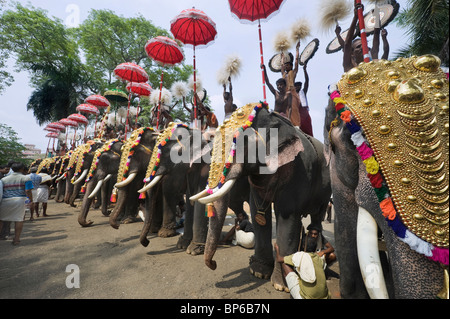 India Kerala Thrissur the Pooram Elephant Festival Stock Photo