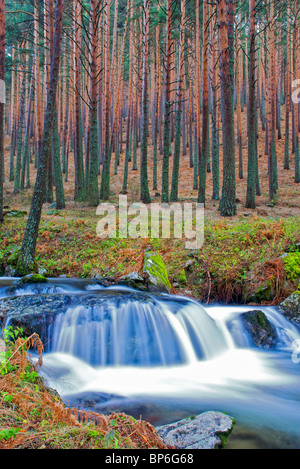 Waterfall. Navafria. Sierra de Guadarrama National Park. Segovia province. Castilla y Leon. Spain. Stock Photo