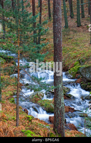 Waterfall. Navafria. Sierra de Guadarrama National Park. Segovia province. Castilla y Leon. Spain. Stock Photo