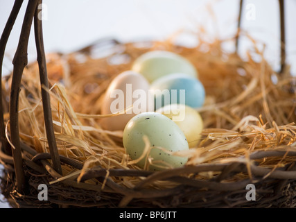 Dyed Easter eggs in a basket Stock Photo