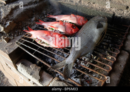 Detail of fish cooking on a barbeque grill Stock Photo