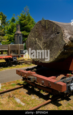 Old logging equipment on display at Fort Humboldt State Historic Park, Eureka, California Stock Photo