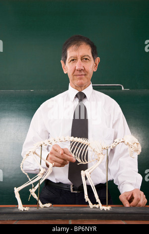 Portrait of a biology teacher with a cat skeleton Stock Photo