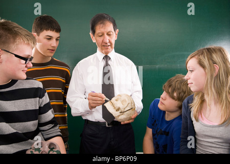 A biology teacher teaching students about the human skull Stock Photo