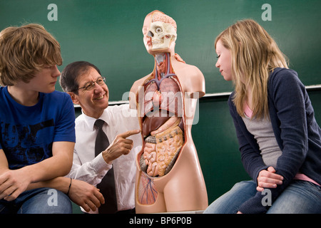 A biology teacher teaching students anatomy Stock Photo