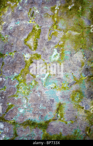 Background from an old grunge decayed concrete wall with stains Stock Photo