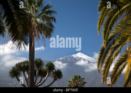 Views of snow capped Mount Teide, Tenerife, Canary Islands, Spain. Stock Photo