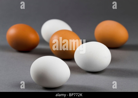 three white and three brown eggs on grey background Stock Photo
