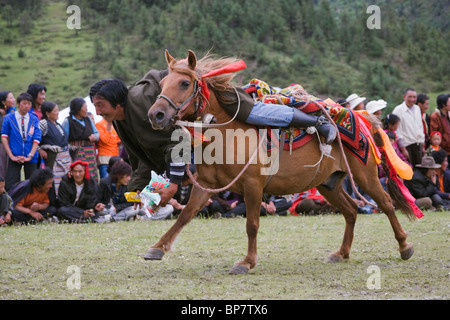 Horse Festival Litang Tibet China Tradition Khampa Stock Photo