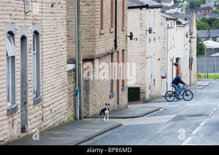 Boarded up derelict houses in Burnley, Lancashire, UK. Stock Photo