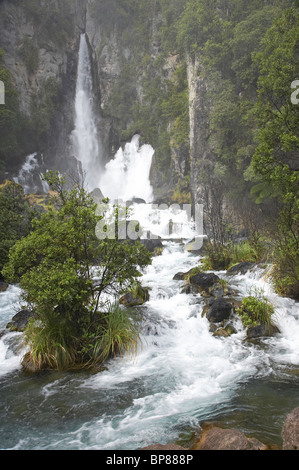 Tarawera Falls, Tarawera River, near Kawerau, Eastern Bay of Plenty, North Island, New Zealand Stock Photo